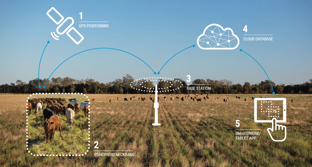 Virtual Fencing Gallagher